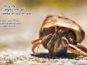 Como cangrejo ermitaño (Poema)