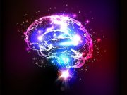 Cierta poesía activa los mecanismos de defensa del organismo: Enrique Canchola, experto mexicano en neurociencias