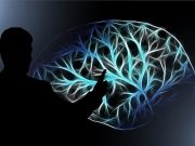 Poesía y neurociencias, aporte de Puebla (Sabersinfin) a Latinoamérica