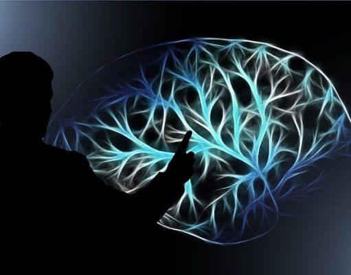 Poesía y neurociencias, aporte de Puebla (Sabersinfin) a Latinoamérica