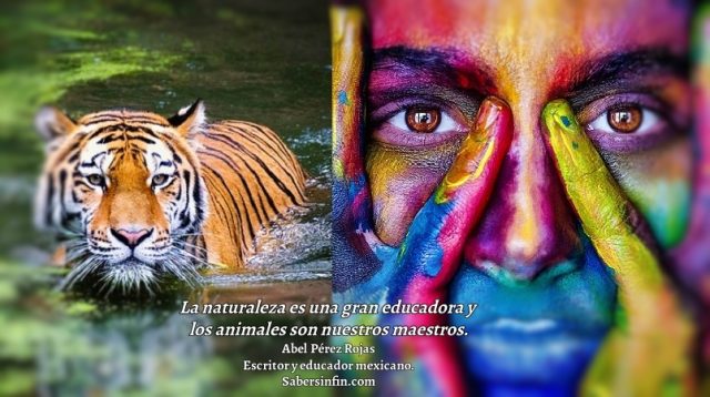 frase naturaleza educadora animales maestros abel perez rojas