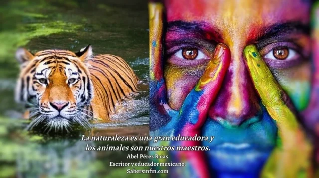 frase naturaleza educadora animales maestros abel perez rojas