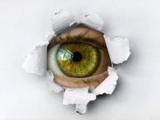 La inteligencia indiscreta