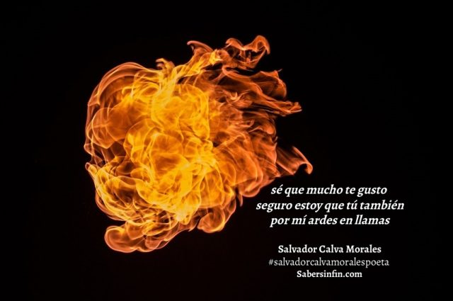 llamas poema salvador calva morales