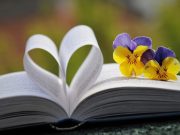 Flores de mi locura