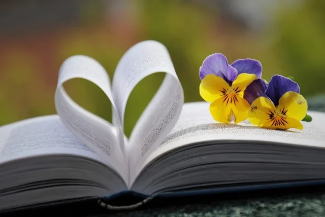 inspiracion libro