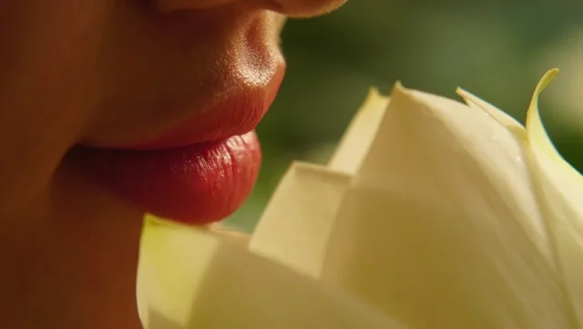 labios poema