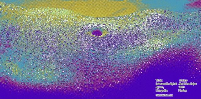 oceano intervencion digital de abel perez rojas