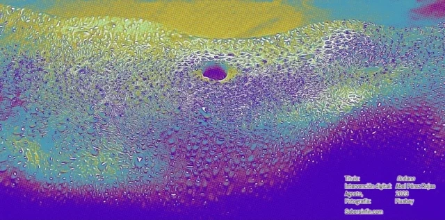 oceano intervencion digital de abel perez rojas