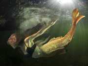 Sirena mía (Poema y video)
