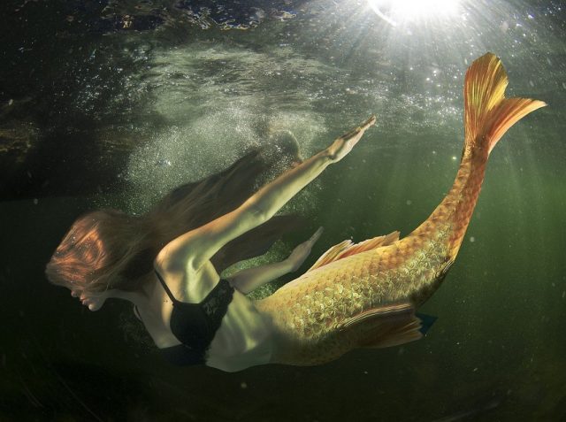 sirena mia poema