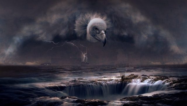 buitre mar lluvia