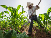 Consumo consciente de alimentos reduciría el impacto al planeta