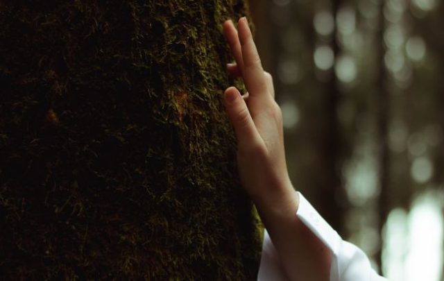 naturaleza