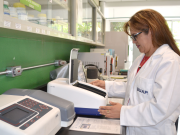 Investigadores BUAP contribuyen a lograr la inocuidad en la producción de cilantro en Puebla