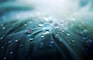 Lluvia de septiembre