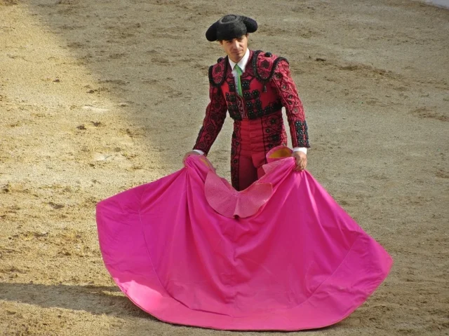 torero faena toro plaza de toros