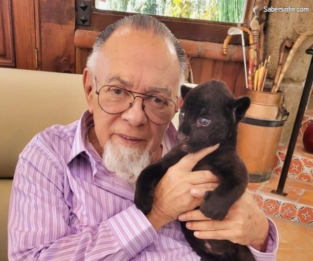Salvador Calva Morales gato negro