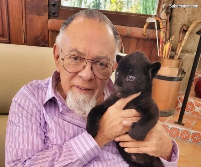 Salvador Calva Morales gato negro