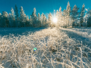 Invierno, tiempo ideal para la reflexión