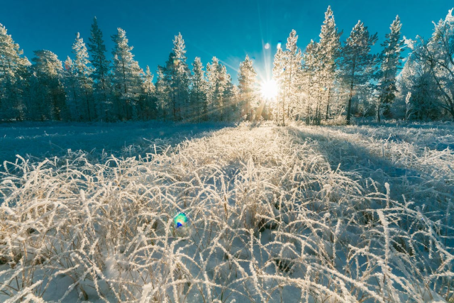 image-16