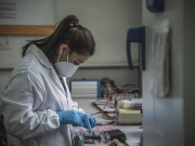 Diversidad, inclusión y colaboración, actuales tendencias en investigación