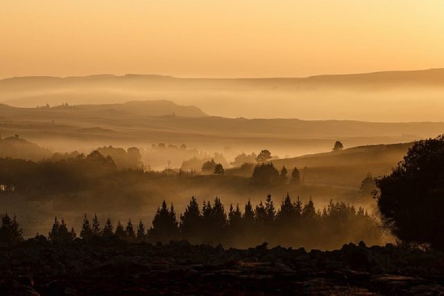 paraje paisaje neblina arboles montañas