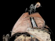 Experiencia cuántica en la escultura de Miguel Peraza