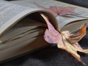 Disolución, poema de Lilia Rivera