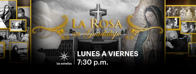 LA ROSA DE GUADALUPE-17 AÑOS