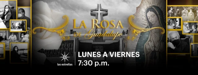 LA ROSA DE GUADALUPE-17 AÑOS