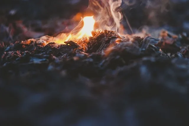 cenizas fuego