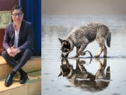 Hay que vencer el miedo, como lo hizo “el perro frente al río”: Abel Pérez Rojas