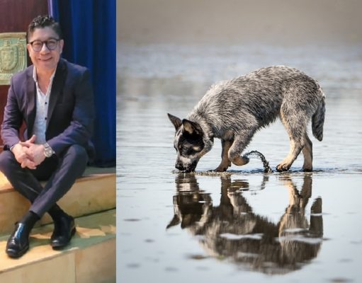 Hay que vencer el miedo, como lo hizo “el perro frente al río”: Abel Pérez Rojas