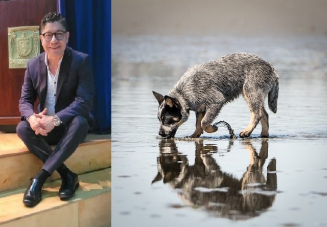 Abel Perez Rojas y el cuento sufí del perro tomando agua en el río