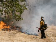 Incendios forestales en Chile