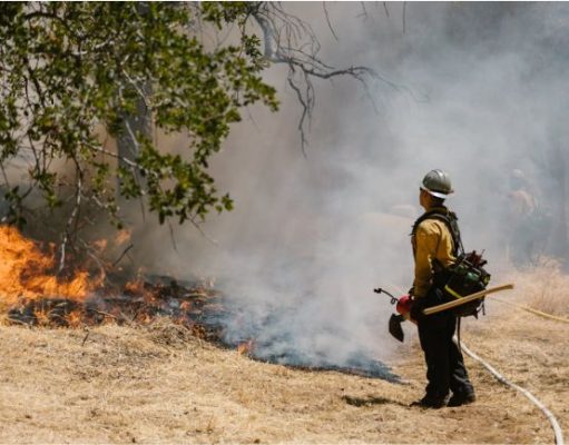Incendios forestales en Chile