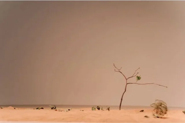 clima