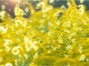 Numerología tántrica y pitagórica