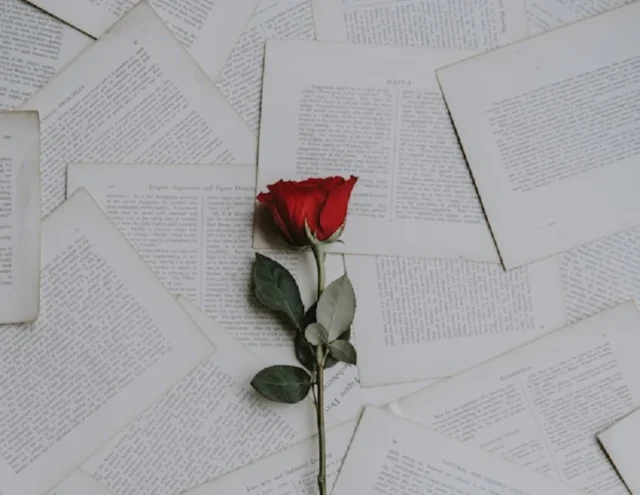 rosa roja sobre poemas
