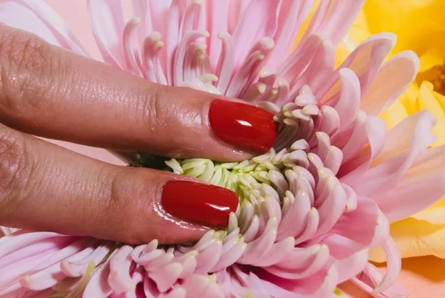 dedos de mujer en flor