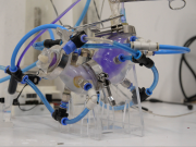 Crean universitarios estómago artificial que imita funciones del órgano humano