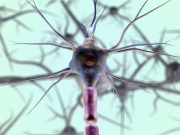 Los alimentos que cuidan tus neuronas