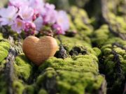 El amor como filosofía de vida
