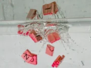 Escritos en el agua