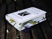 Poemas y metáforas