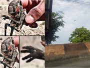 Exploración en la exhacienda de los gigantes