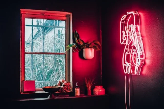 pared oscura luz neon venta con jardín