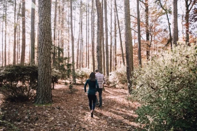 pareja caminando en el bosque