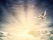 Ego y espíritu: la dualidad de la naturaleza humana
